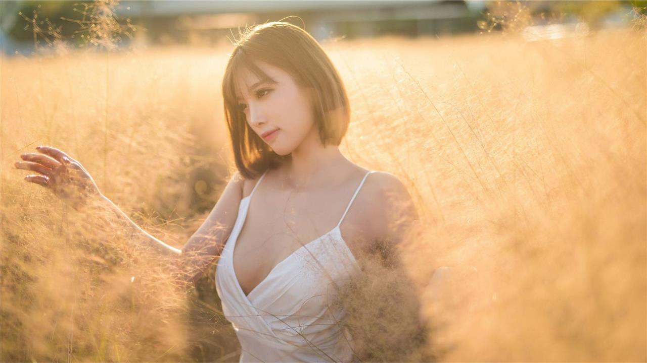 口袋妖怪，漆黑魁影——暗夜英雄的觉醒
